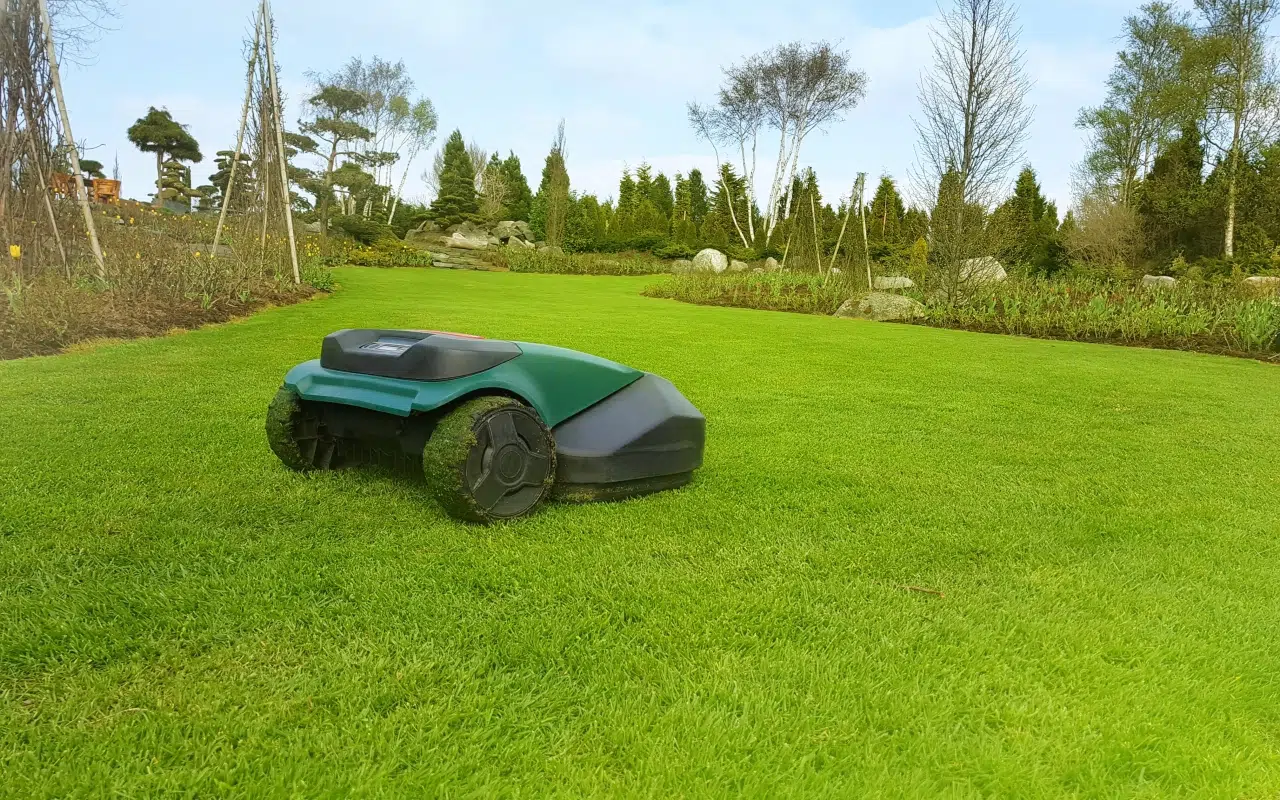 robot koszący do 1000 m2 kosi trawę w dużym, bardzo zadbanym ogrodzie
