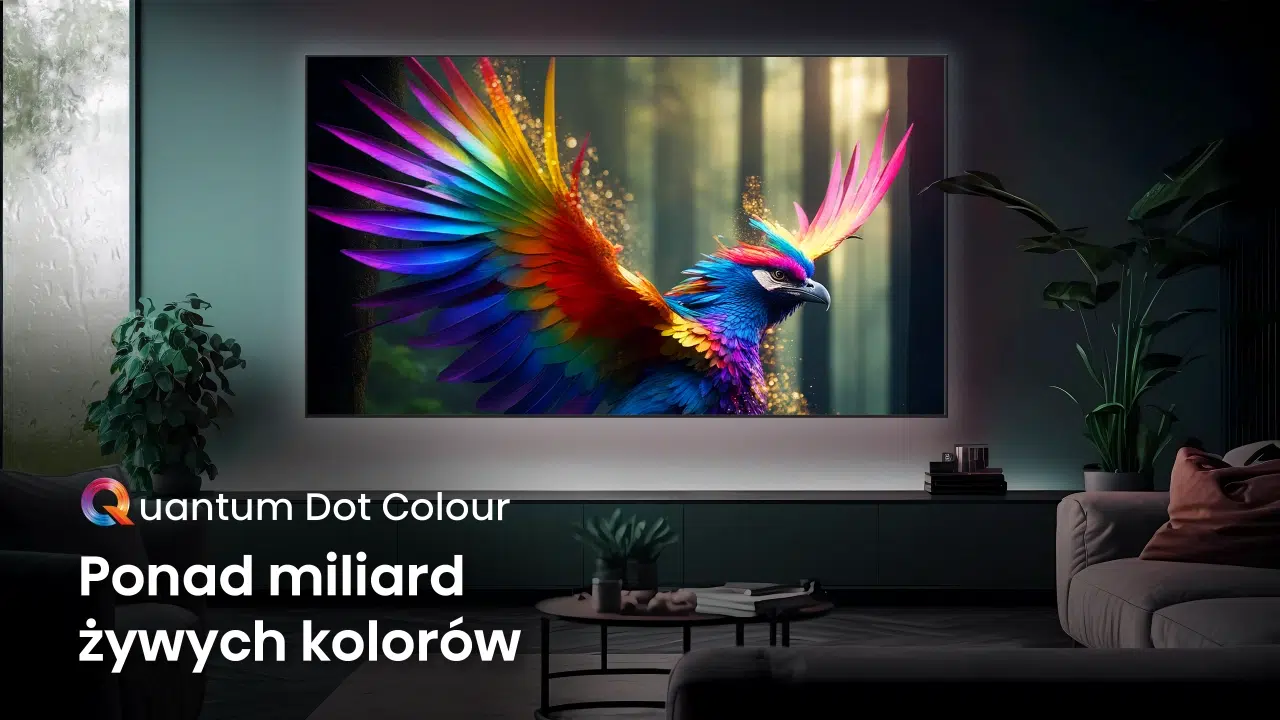 Quantum Dot Colour w w TV Hisense U6NQ